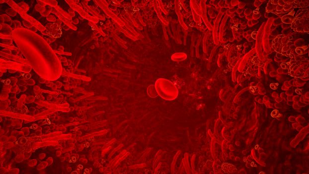 Red blood cells in artery of human body. Flying through a blood vessel in an organism. Red blood cells fly through a blood vessel.