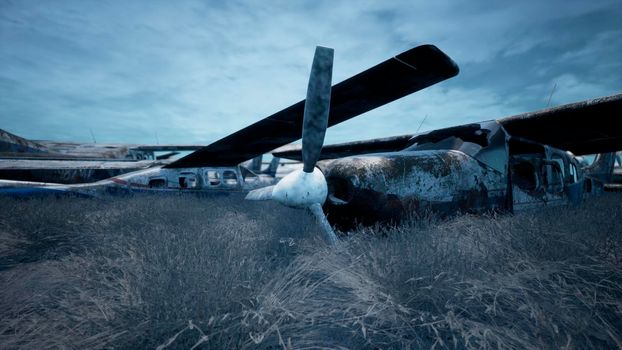 Abandoned and destroyed planes are in the field. A lot of rusty, forgotten and broken planes.