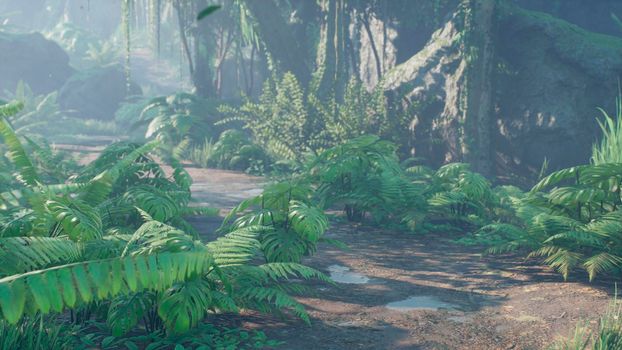 Beautiful jungle and green ferns in the rainforest. View of the green forest in the jungle on a sunny morning.