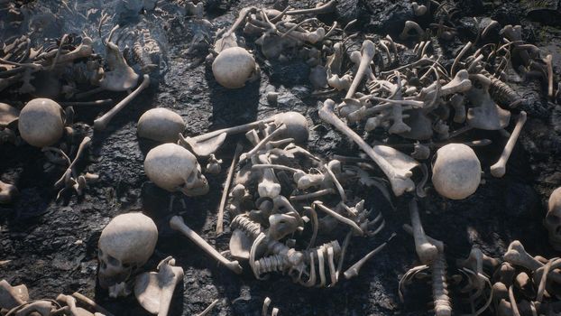 Terrible old skulls and bones on the field of the past battle. The concept of war and the Apocalypse.