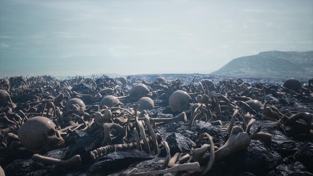 Old human skulls and bones left over from the battle. The concept of war and the Apocalypse.