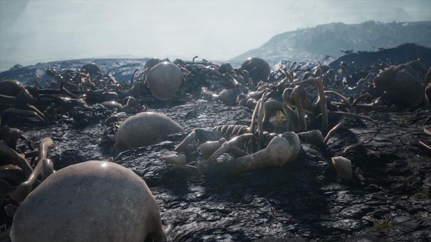 Old human skulls and bones left over from the battle. The concept of war and the Apocalypse.