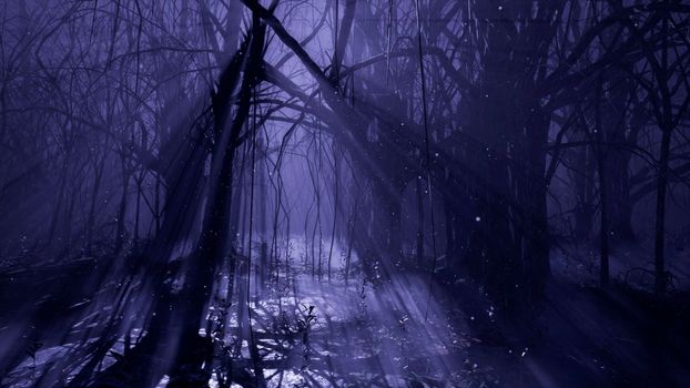 Dark mystical misty forest. A fairy-tale scary forest with tall trees in a thick fog.