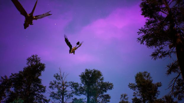 Amazing magical creatures fly over a mysterious night forest. Looping  for fantasy, fiction or fabulous backgrounds.