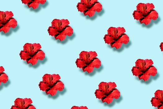 Top view of a trendy pop art pattern of a hibiscus flower. Flat lay. High quality photo