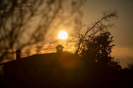 Landscape with Silhouette at sunset of tree and roofs