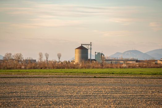 Field landscape at sunset time in spring in Italy plain