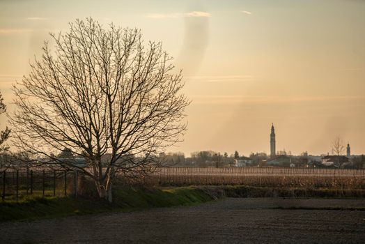 Field landscape at sunset time in spring in Italy plain