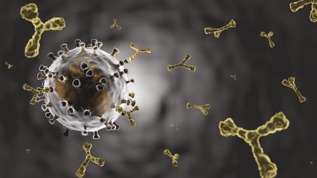 COVID-19 . Coronavirus and antibody molecule from antiviral vaccine injection . Human recieve vaccine and produce antibody for kill virus . Microscopic view of virus cell . 3D rendering .