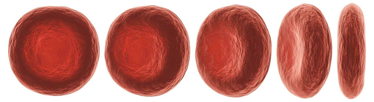 Red blood cells with different view . High detailed surface texture . White isolated background . 3D rendering .