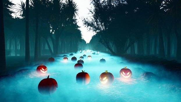 Glowing pumpkins, dark forest, Halloween celebration. Night landscape with a mystical fog, glowing a terrible pumpkins in a foggy night in a forest. Horror and Halloween concept.