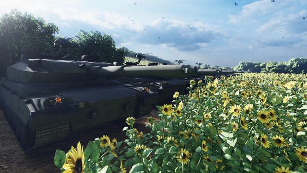 Military tanks on a clear Sunny summer day on a field in the middle of sunflowers.