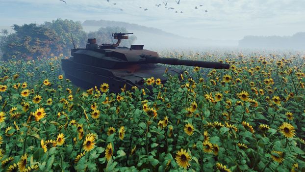 Military tank at sunset on a field in the middle of sunflowers.