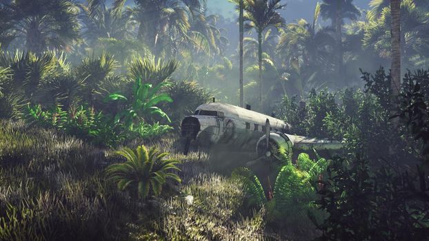 Wrecked plane lies in the jungle in the middle of palm trees and tropical vegetation.