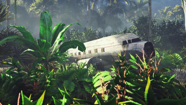 Wrecked plane lies in the jungle in the middle of palm trees and tropical vegetation.