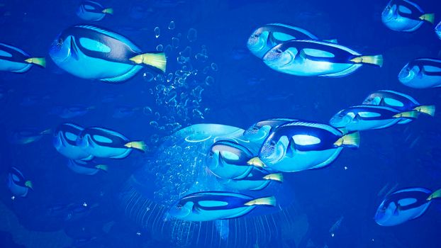 Fabulous Tropical Marine Life. Tropical underwater marine life and tropical beautiful underwater marine ocean landscape. Green algae and mysterious jellyfish.