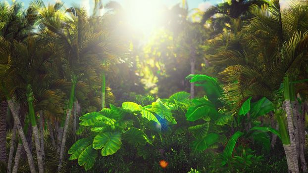 Flying through the green jungle.Green jungle trees and palm trees with blue sky and bright sun. The Concept of Travel.