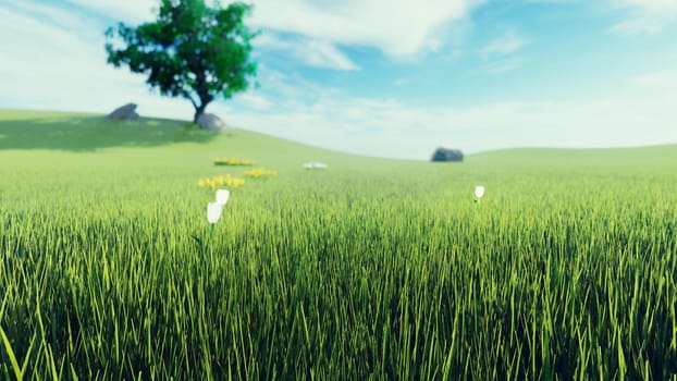Beautiful of morning green grass, tree in the background, flowers, morning sun and clouds on blue