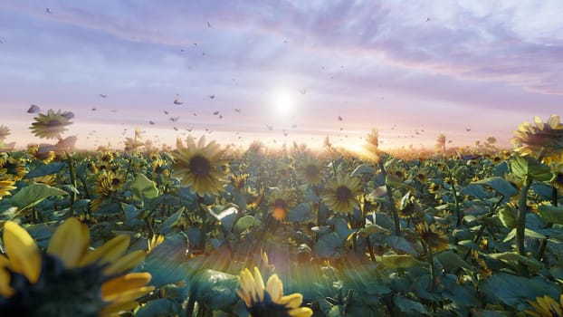 Beautiful Sunflowers in the field at sunrise. Field with sunflowers, butterflies and insects in summer.