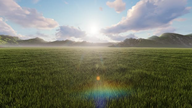 Air flight over a beautiful endless green field in the countryside. Beautiful nature, endless fields with insects and birds, moss, green grass and shining sunrise.