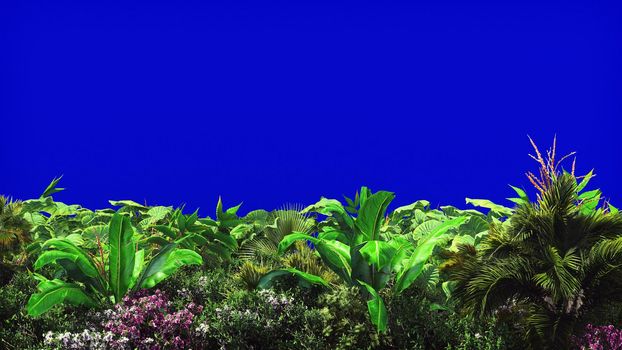 Tropical plants in the wind on blue screen. 