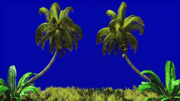 The branches of palm tree and Tropical plant in the wind on blue screen. 