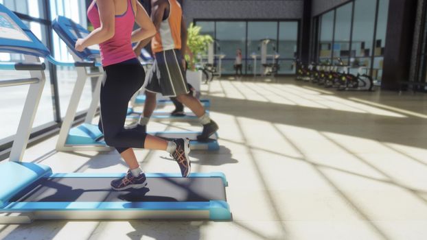 Gym with various exercise machines in it and people walking on treadmill at sunny day