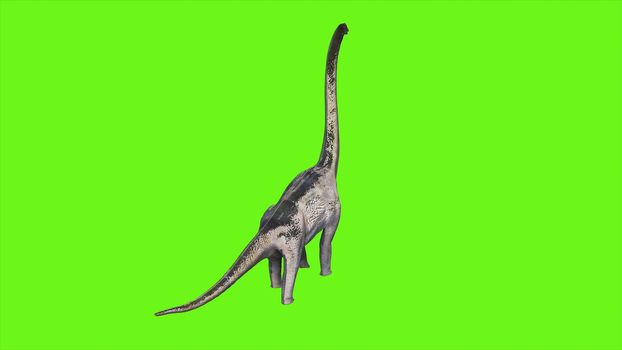 Dinosaur Braquiossauro on green screen.