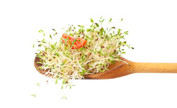 Alfalfa sprouts on a wooden spoon. Healthy, vegetarian food. Isolated on a white background