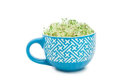 Organic young alfalfa sprouts in a cup on a white background close up with clipping path