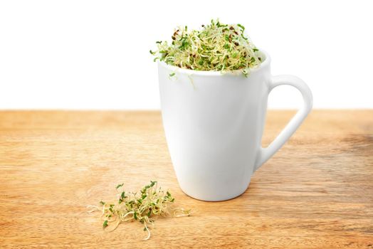 Organic young alfalfa sprouts in a cup on a wooden table background close up