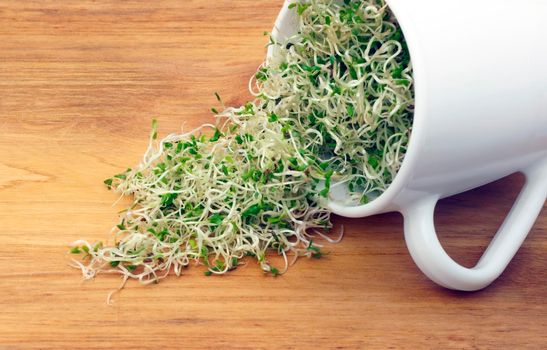 Organic young alfalfa sprouts in a cup on a wooden table background close up