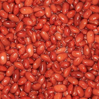 cooked kidney red beans closeup background