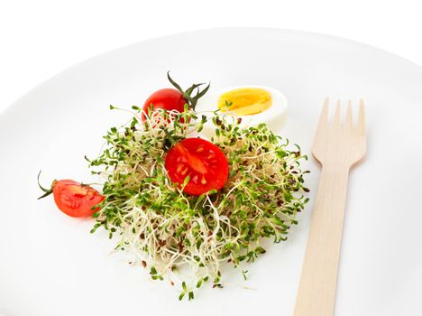 Heap of alfalfa sprouts on white plate with wooden fork. Healthy food concept. Isolated on white background with clipping path.
