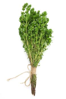 bunch of thyme twigs isolated on white background.