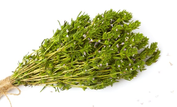 bunch of thyme twigs isolated on white background.