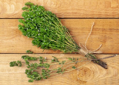 bunch of thyme twigs isolated on wooden table