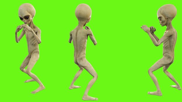 Alien fights on green screen.