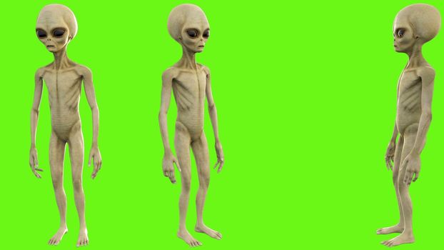 Alien presses the button on green screen.