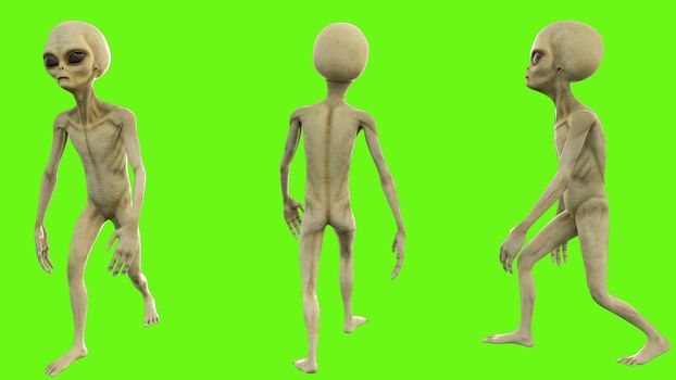 Alien walks on green screen.