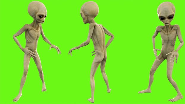 Alien look around on green screen.