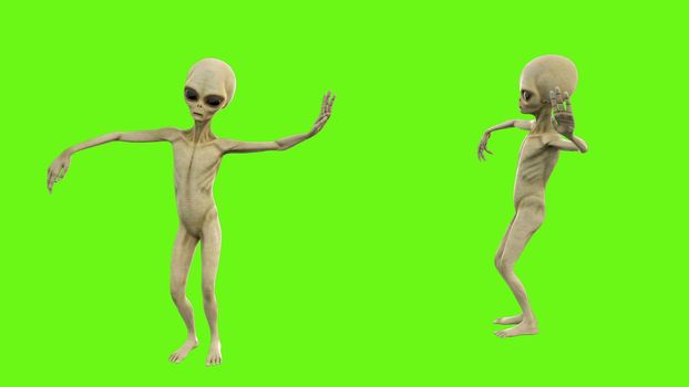 Alien dancing hip hop on green screen.