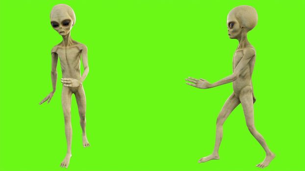 Alien walks on green screen.