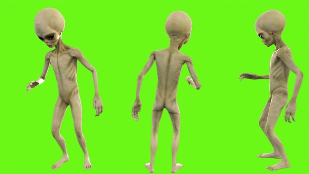 Alien telling a secret on green screen.