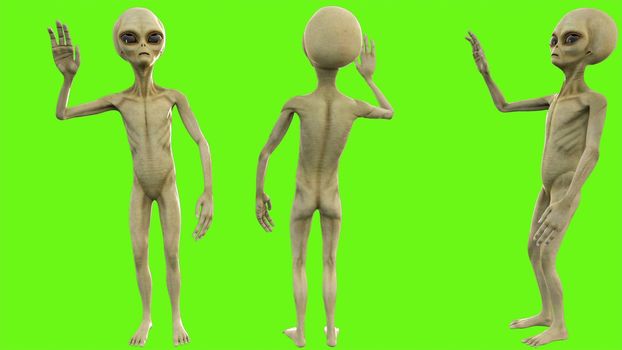 Alien salute on green screen.