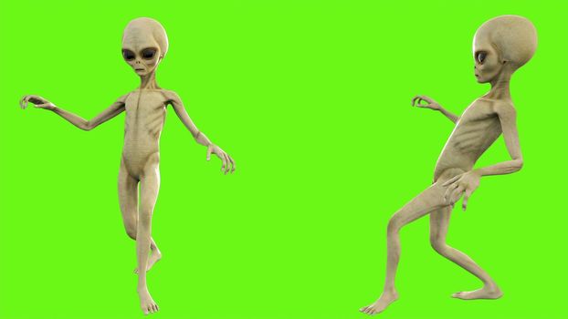 Alien sneaks on green screen.