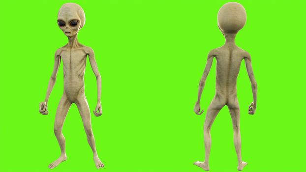 Alien celebrate victory on green screen.