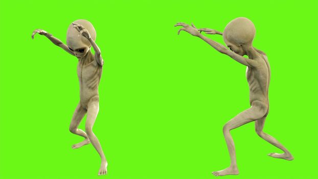 Alien walks like a zombie on green screen.