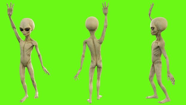 Alien waving his hand to greet on green screen.