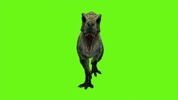 T Rex Tyrannosaur Dinosaur on green screen. GI realistic render.